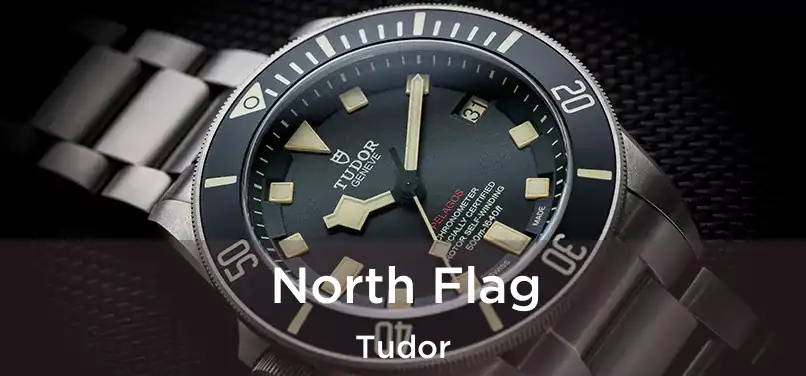 North Flag Tudor